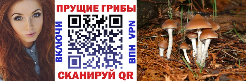 Псилоцибиновые грибы мицелий Омск